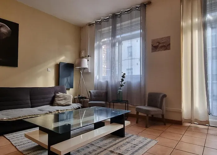 T4 rénové 95 m2 cosy confort ! *