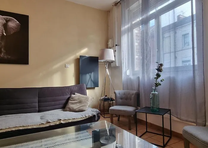 T4 rénové 95 m2 cosy confort ! *